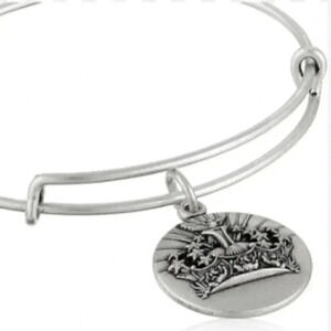 Lot of 2 Alex and Ani/statement skull bohemian casual stylish trendy bracelet OS